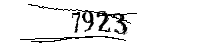 Si prega di digitare le lettere e i numeri qui sotto