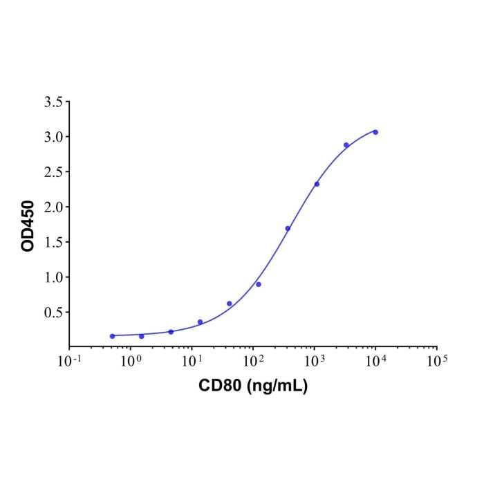 Recombinant Human CD80 Protein -    by Aladdin Scientific