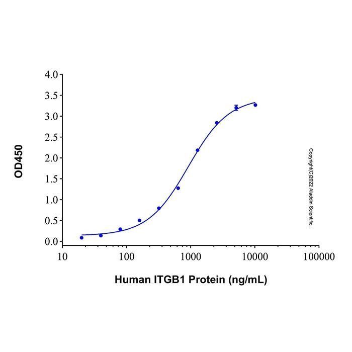 Recombinant Human CD98 Protein -    by Aladdin Scientific