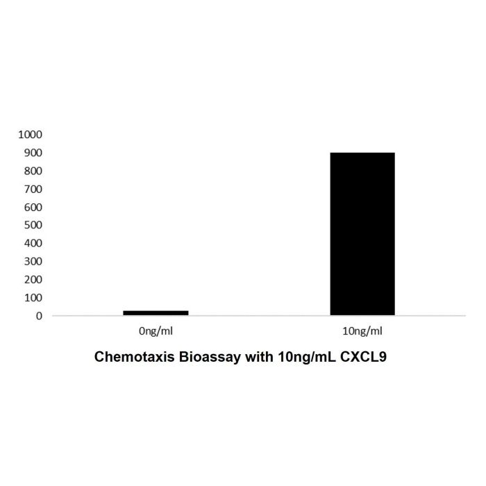 Recombinant Human CXCL9 Protein -    by Aladdin Scientific