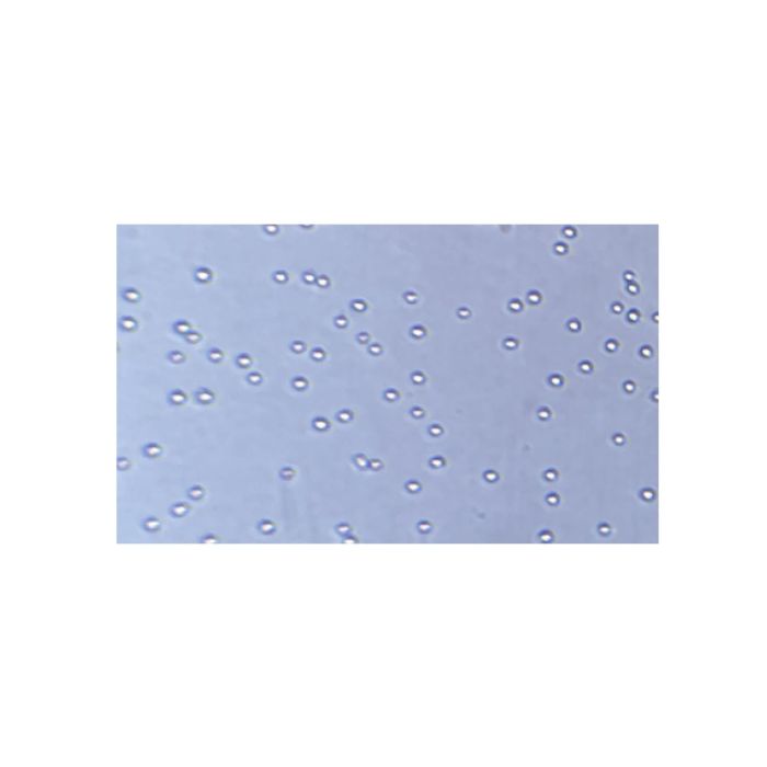 Recombinant Human EpCAM Protein -    by Aladdin Scientific