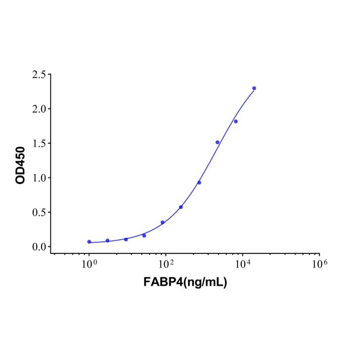 Recombinant Human FABP4 Protein -    by Aladdin Scientific