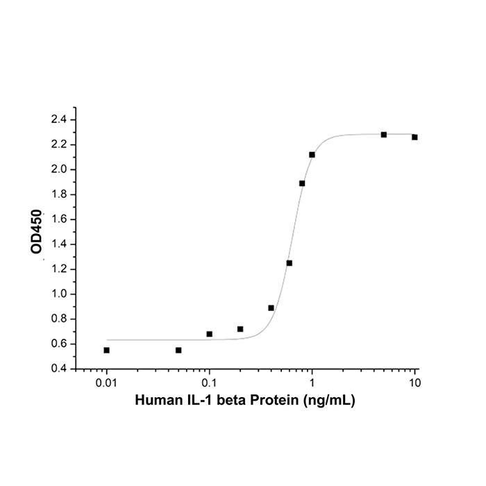 Recombinant Human IL-1 beta Protein -    by Aladdin Scientific