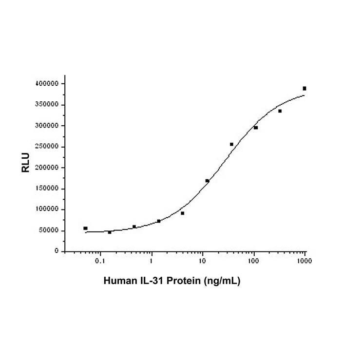 Recombinant Human IL-31 Protein -    by Aladdin Scientific