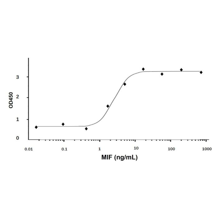 Recombinant Human MIF Protein -    by Aladdin Scientific