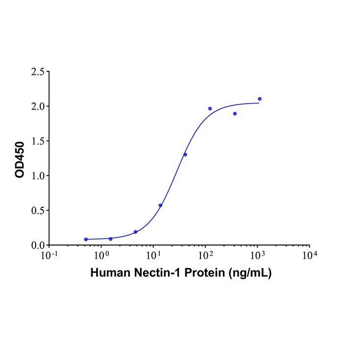 Recombinant Human Nectin-1 Protein -    by Aladdin Scientific