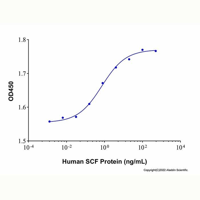 Recombinant Human SCF Protein -    by Aladdin Scientific