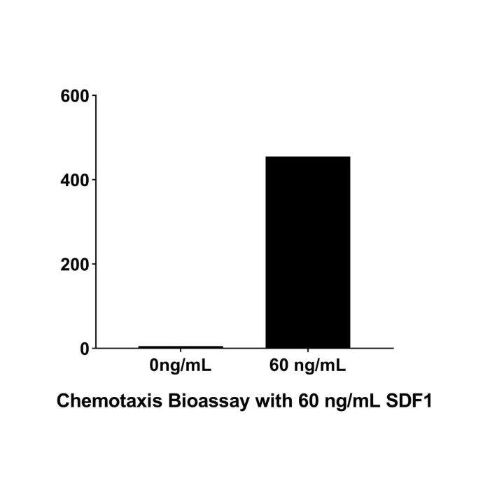 Recombinant Human SDF1 Protein -    by Aladdin Scientific