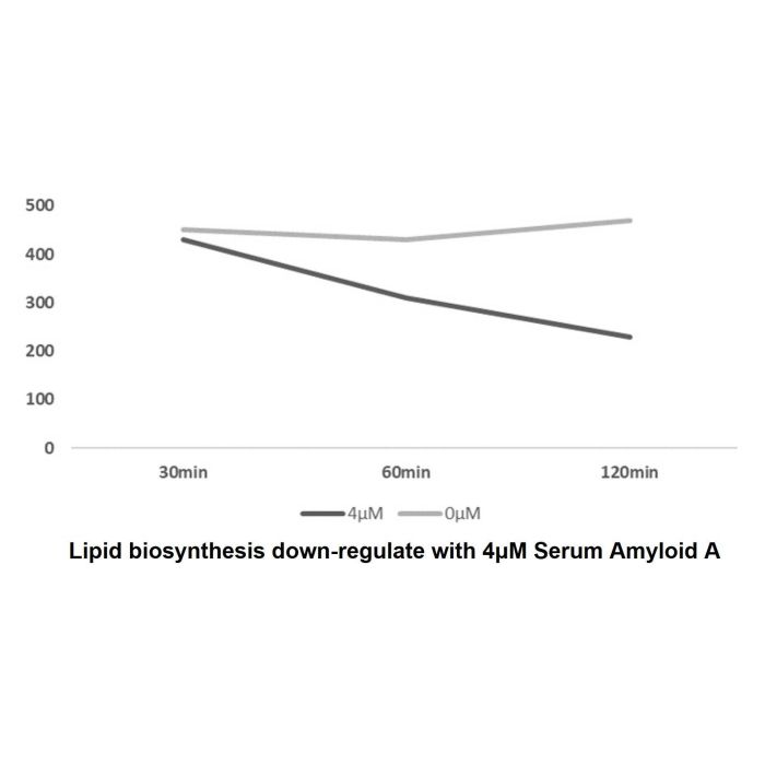 Recombinant Human Serum Amyloid A Protein -    by Aladdin Scientific