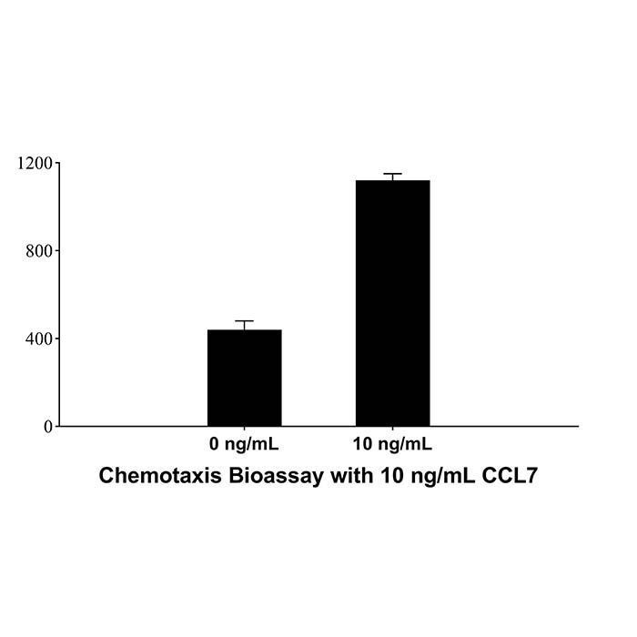 Recombinant Human  CCL7/MCP-3 Protein -    by Aladdin Scientific