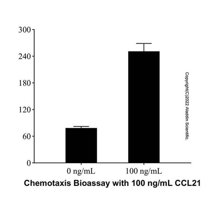 Recombinant Human CCL21/6Ckine Protein -    by Aladdin Scientific