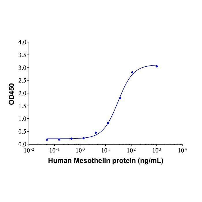 Recombinant Human Mesothelin Protein -    by Aladdin Scientific