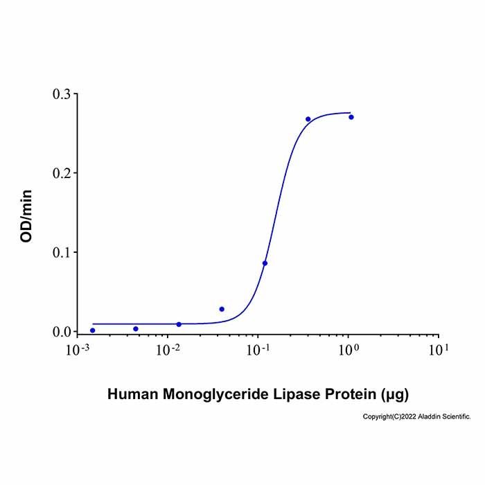 Recombinant Human Monoglyceride Lipase Protein -    by Aladdin Scientific