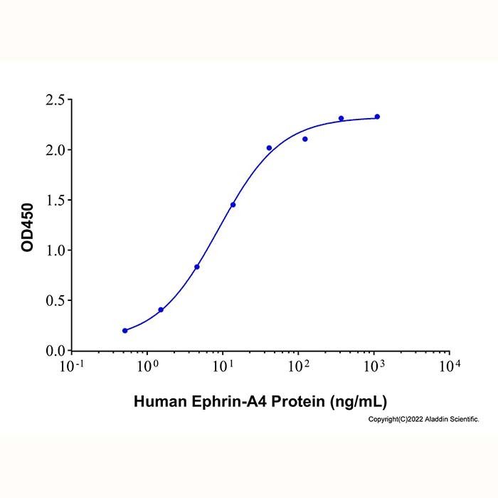 Recombinant Human EphA4 Protein -    by Aladdin Scientific