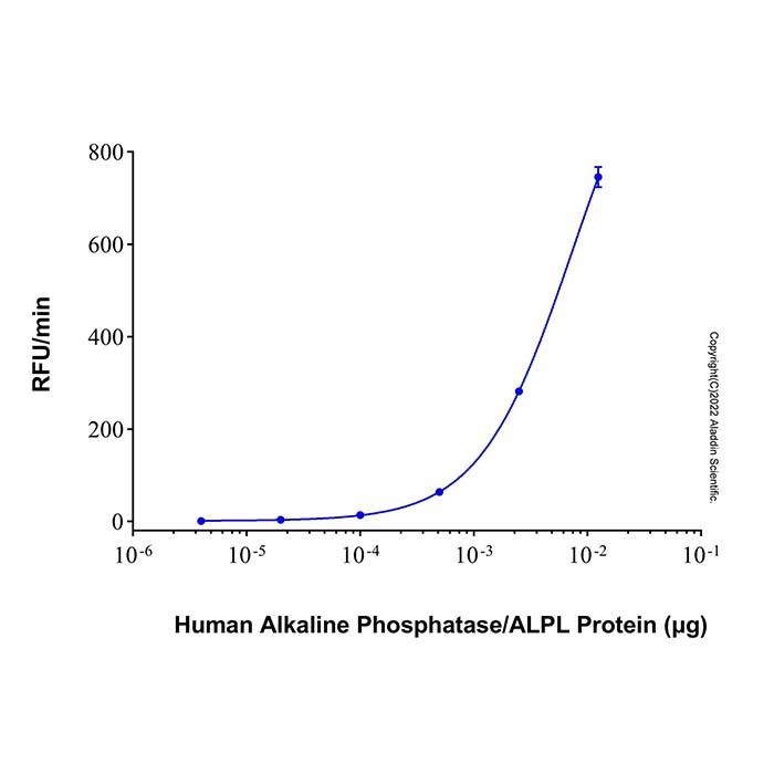 Recombinant Human Alkaline Phosphatase/ALPL Protein -    by Aladdin Scientific