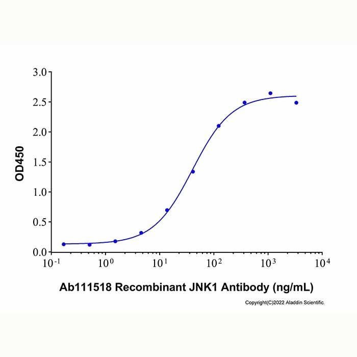 Recombinant Human JNK1 Protein -    by Aladdin Scientific