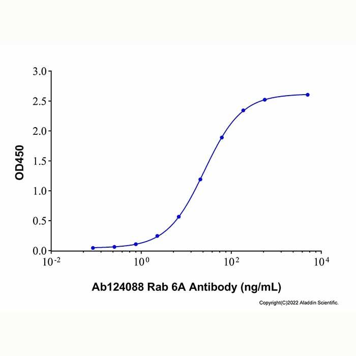 Recombinant Human Rab-6 Protein -    by Aladdin Scientific