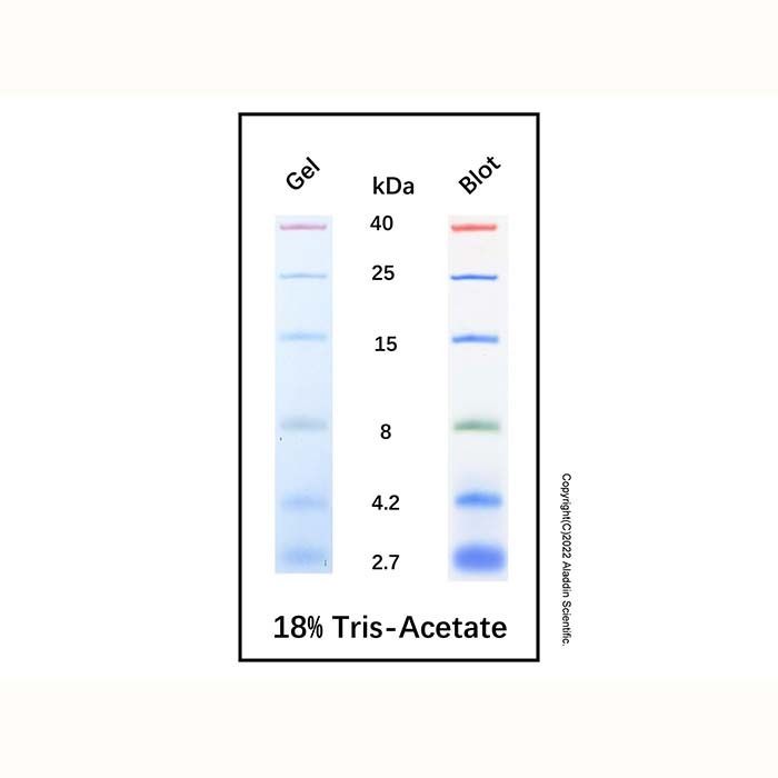 Prestained Color Protein MW Marker (2.7-40 kDa) -    by Aladdin Scientific