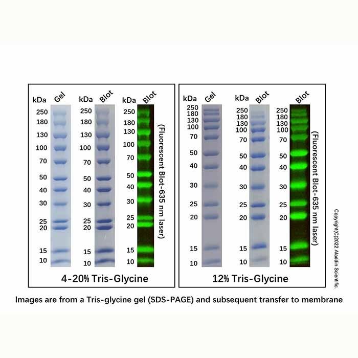 All Blue Protein MW Marker (10-250kDa) -    by Aladdin Scientific