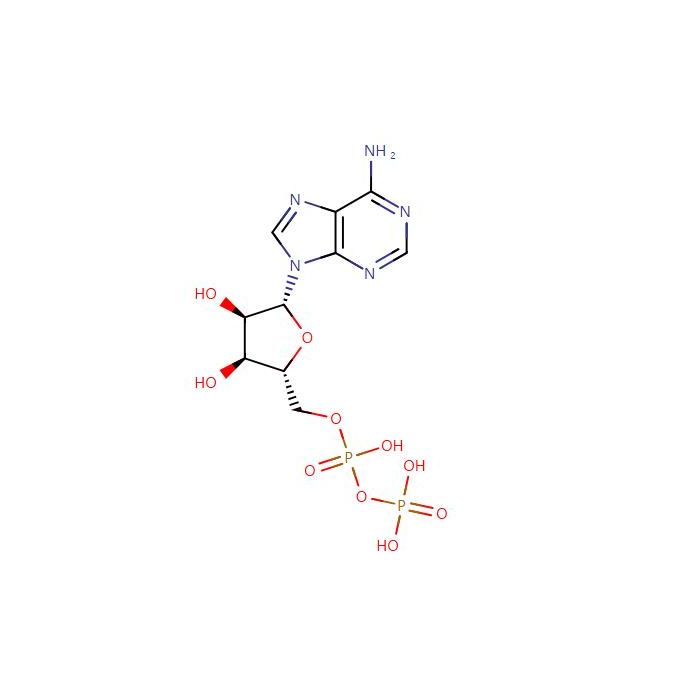 Adenosine 5′-diphosphate (ADP) - Moligand™, ≥95%(HPLC) CAS No(58-64-0) A119474 by Aladdin Scientific