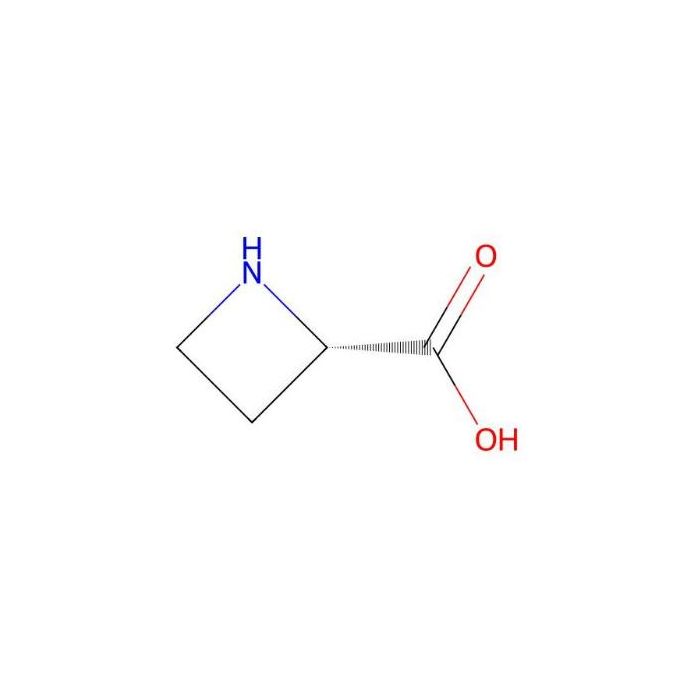 L-Azetidine-2-carboxylic acid - Moligand™, ≥99% CAS No(2133-34-8) by Aladdin Scientific
