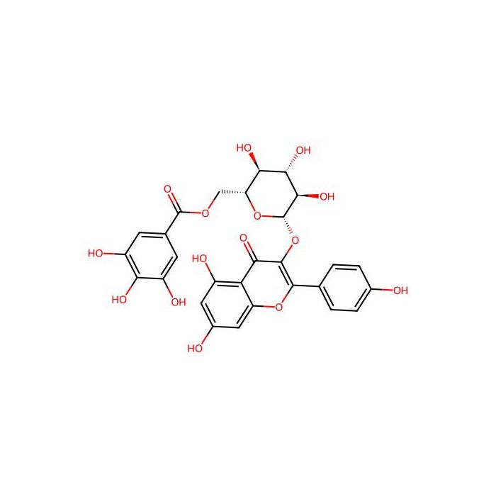 Astragalin 6''-gallate - ≥99% CAS No(56317-05-6) by Aladdin Scientific