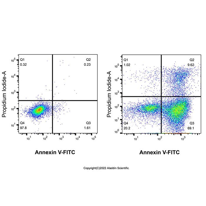 Annexin V-FITC/PI Apoptosis Detection Kit - Suitable for Immunofluorescence(IF), BioReagent, Biological Stain, for microscopy, high purity