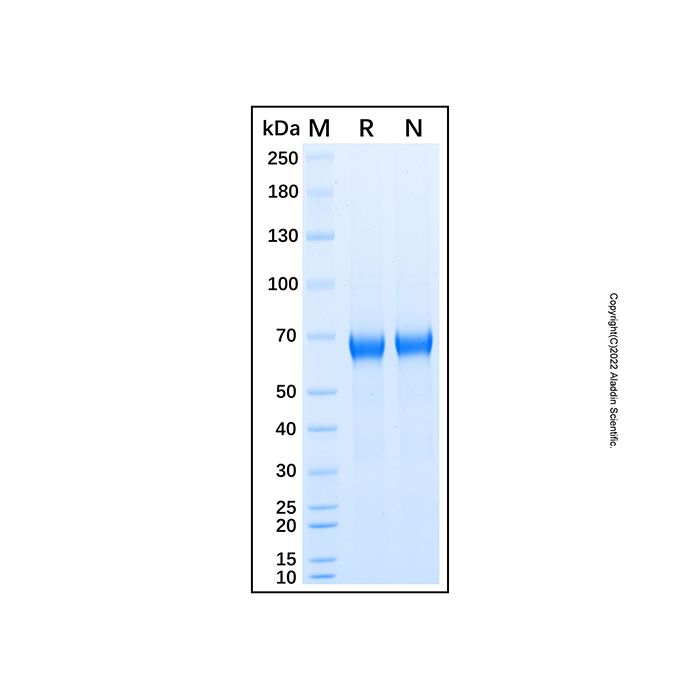Alteplase -   CAS No(105857-23-6) by Aladdin Scientific