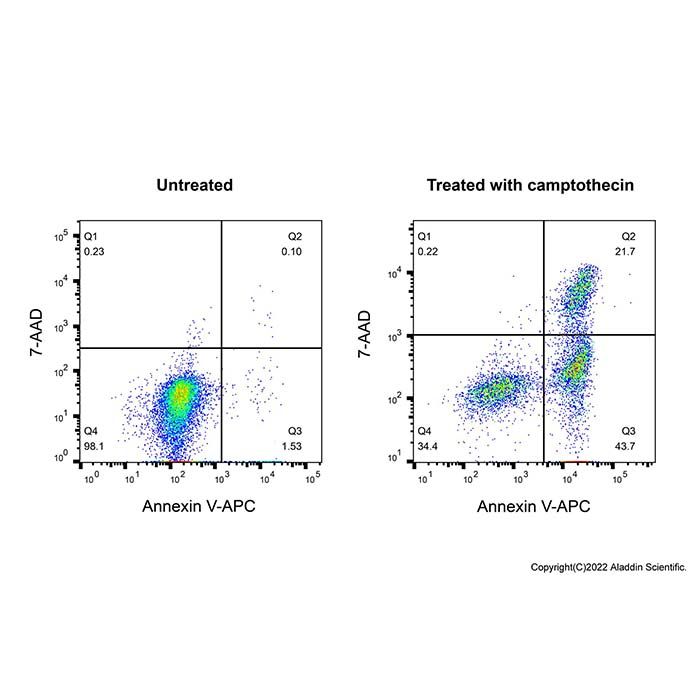 Annexin V- APC/7-AAD Apoptosis Detection Kit - Bioactive, ready-to-use, Biological Stain, for microscopy, for fluorescence analysis, high purity