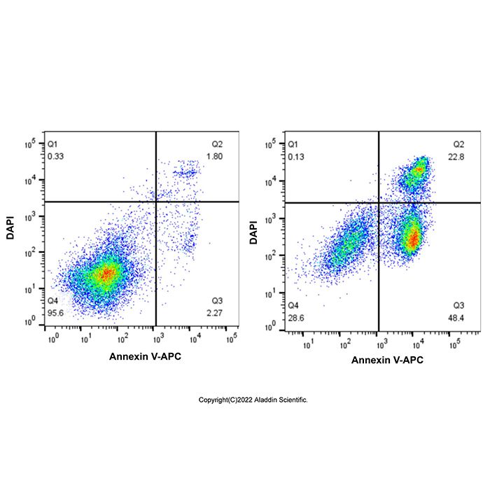 Annexin V-APC/DAPI Apoptosis Detection Kit - BioReagent, Biological Stain, for microscopy, Suitable for Immunofluorescence(IF), ready-to-use, high purity