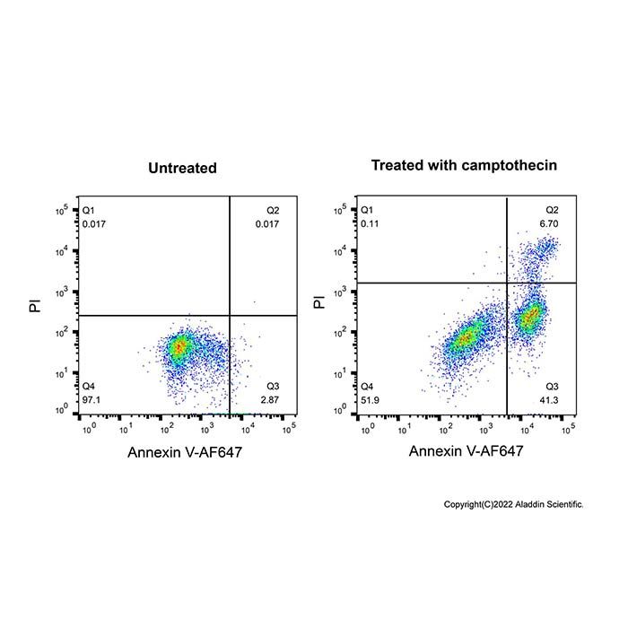 Annexin V- AF647/PI Apoptosis Detection Kit