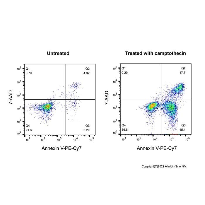 Annexin V-PE-Cy7/7-AAD Apoptosis Detection Kit - Suitable for Immunofluorescence(IF),BioReagent,Biological Stain,for microscopy,ready-to-use, high purity