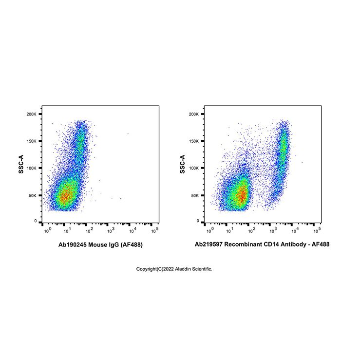AF488 Antibody Labeling Kit