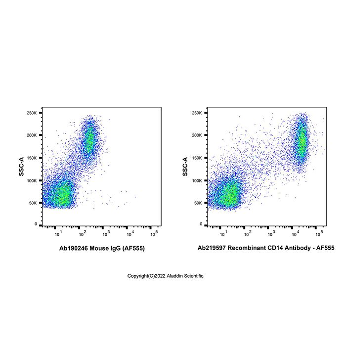 AF555 Antibody Labeling Kit