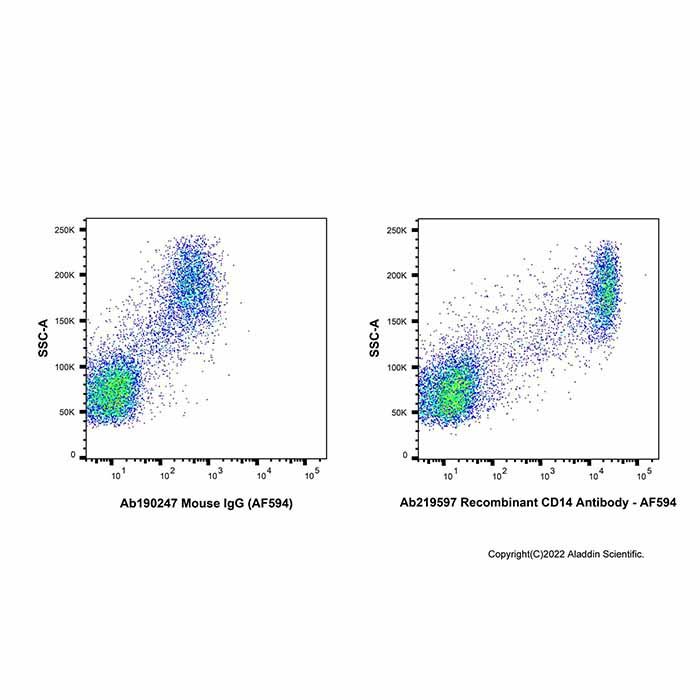AF594 Antibody Labeling Kit