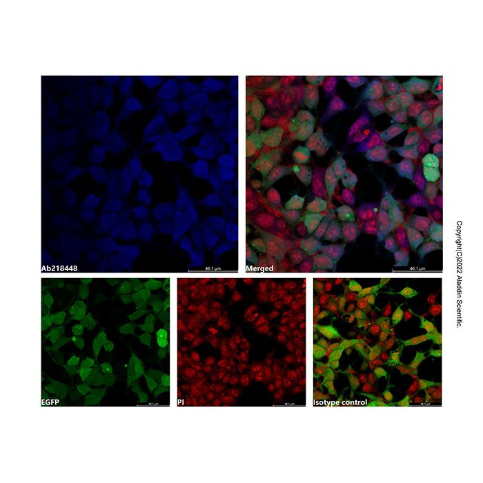 LumiDye™ AF405 NHS Ester - BioReagent,≥90%(HPLC) CAS No(A1507080) by Aladdin Scientific