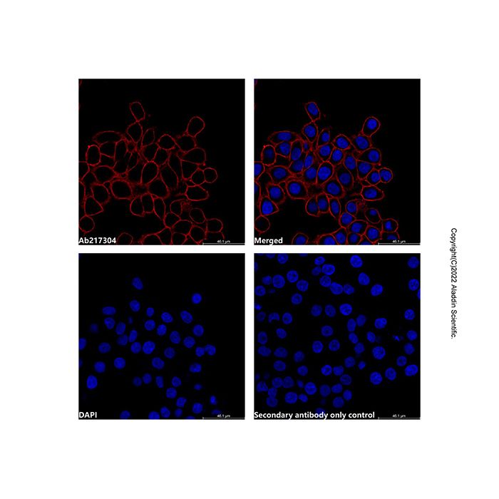 LumiDye™ AF660 NHS Ester - BioReagent,≥90%(HPLC) CAS No(A1507088) by Aladdin Scientific