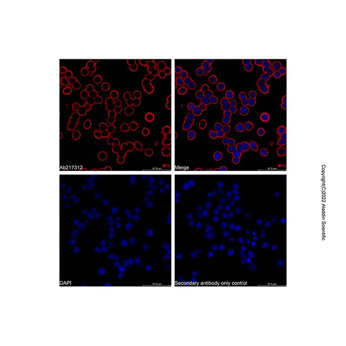 LumiDye™ AF680 NHS Ester - BioReagent,≥90%(HPLC) CAS No(200554-19-4) by Aladdin Scientific