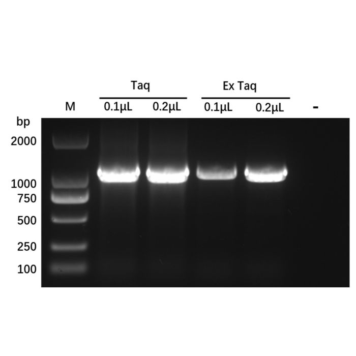Recombinant Taq DNA Polymerase Protein -   CAS No(9012-90-2) by Aladdin Scientific