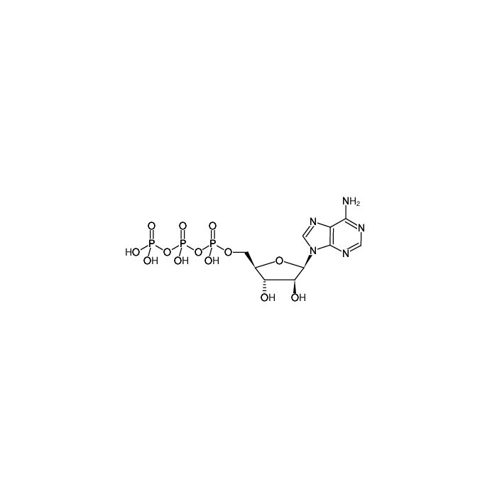 Ara-adenosine-5'-triphosphate (ara-ATP) (aqueous solution) - ≥95% CAS No(3714-60-1) A276544 by Aladdin Scientific