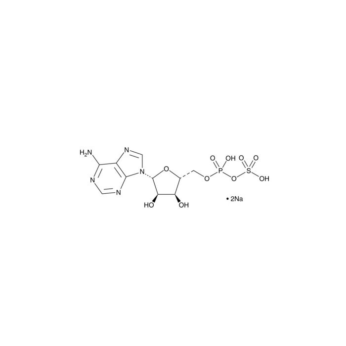 Adenosine 5′-phosphosulfate sodium salt - ≥95%, 10 mM aqueous solution CAS No(102029-95-8) by Aladdin Scientific
