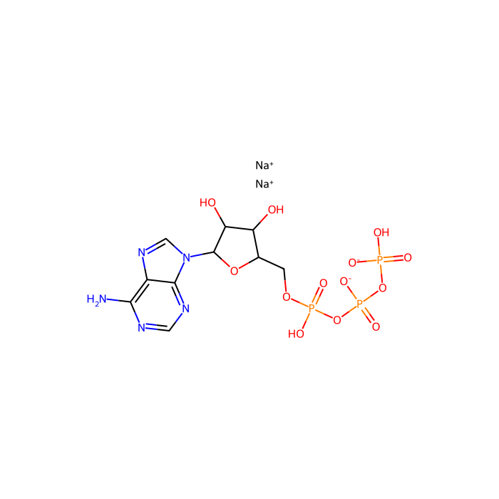 Adenosine 5′-triphosphate disodium salt (ATP) - 10mM in Water CAS No(987-65-5) by Aladdin Scientific