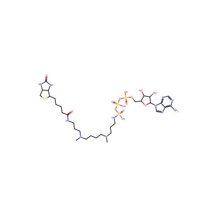 ATP-polyamine-biotin - ≥99% CAS No(1800401-93-7) by Aladdin Scientific