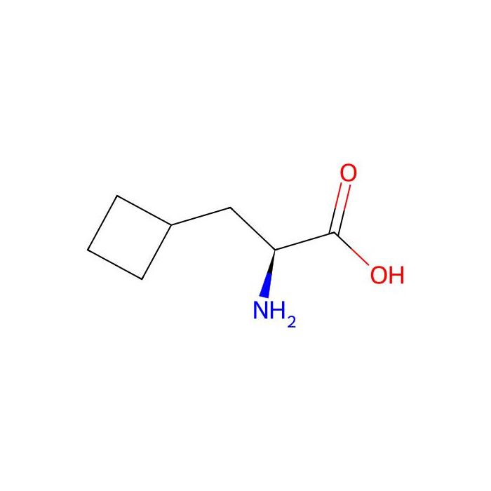 (S)-2-Amino-3-Cyclobutylpropanoic Acid - ≥97% CAS No(1201593-65-8) by Aladdin Scientific