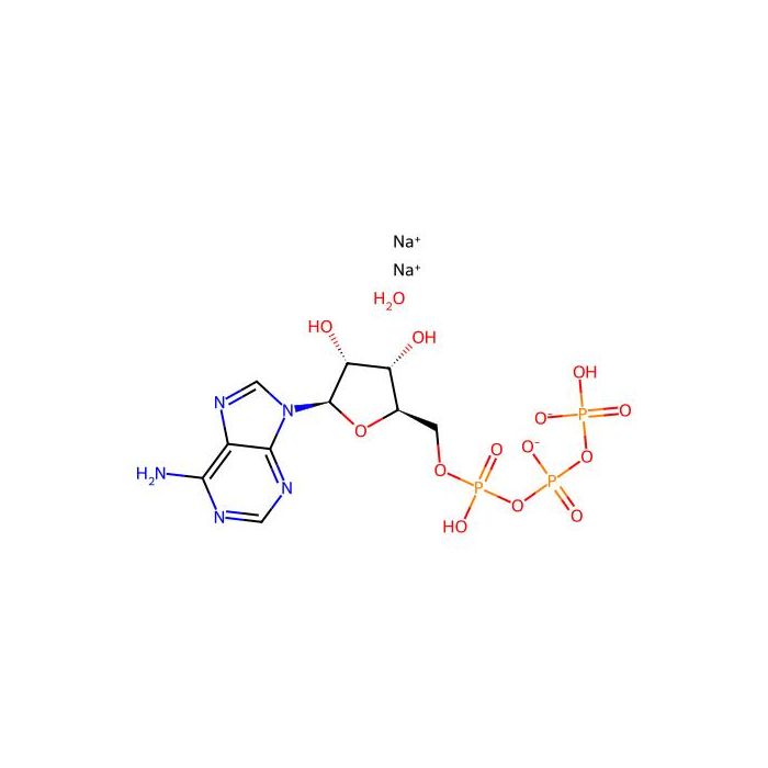 Adenosine 5′-triphosphate (ATP) disodium salt hydrate - Each of ~1 mg ATP CAS No(34369-07-8) by Aladdin Scientific