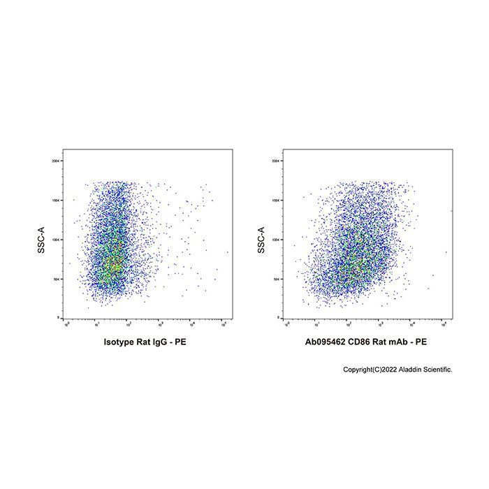 CD86 Rat mAb - by Aladdin Scientific