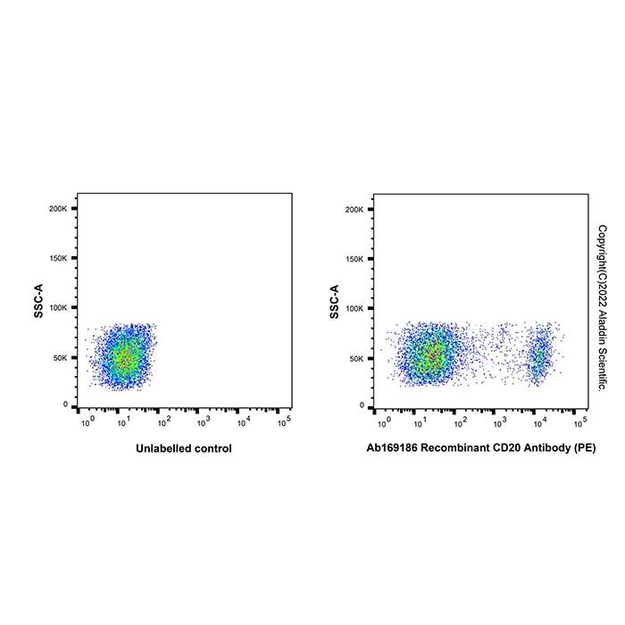 Recombinant CD20 Antibody (PE) - Primary antibody   by Aladdin Scientific