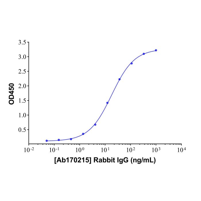 Rabbit IgG - Isotype Control Antibody  ＞95% by Aladdin Scientific