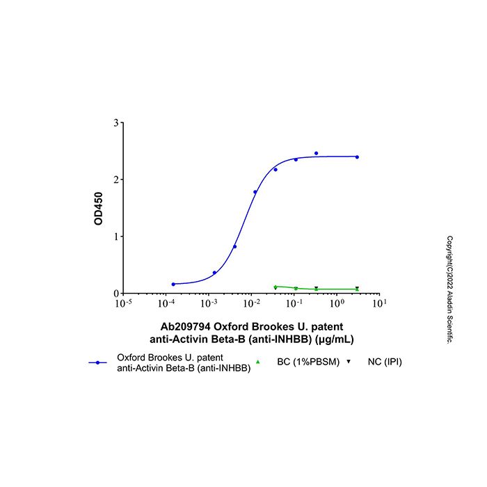 Oxford Brookes U. patent anti-Activin Beta-B (anti-INHBB) - by Aladdin Scientific
