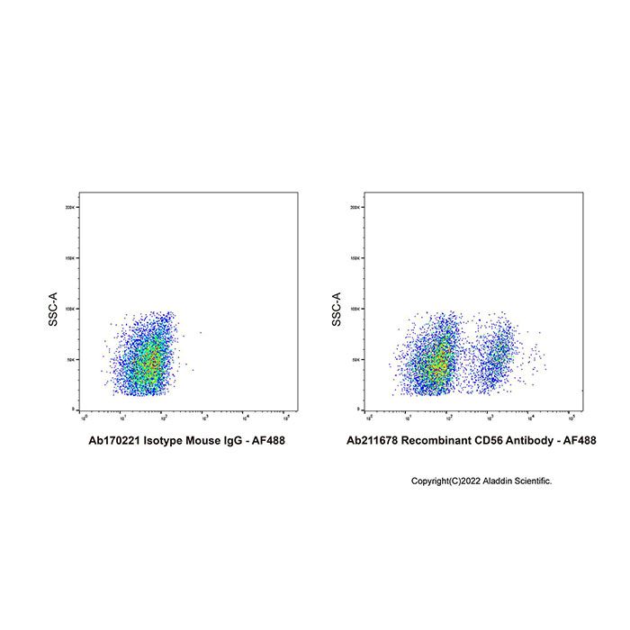 Recombinant CD56 Antibody -    by Aladdin Scientific